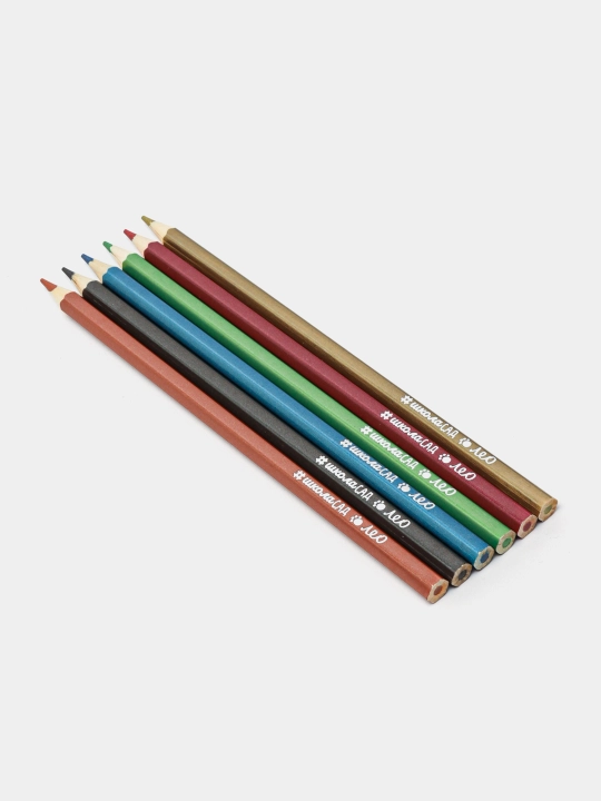 Rangli qalamlar Leo O'rganing LSMCP 06, 8 x 6, o'tkirlangan q0000017821 - 