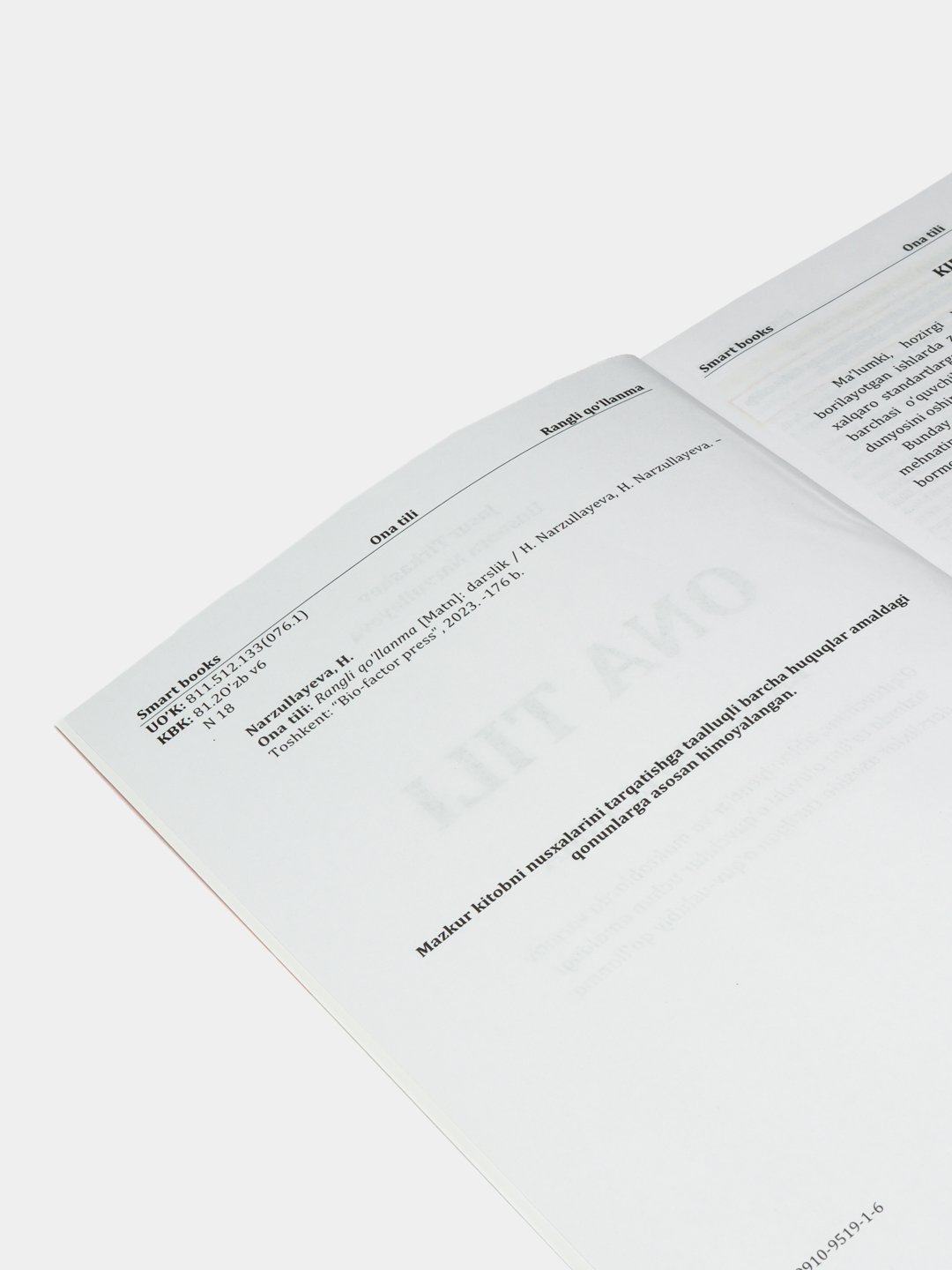 Simpsonlar pornosi: Aka va Liza