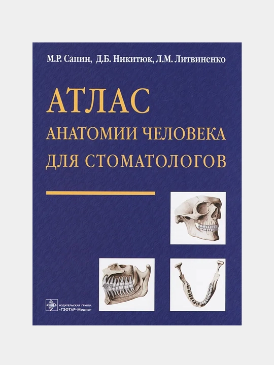 Атлас анатомии человека для стоматологов - 