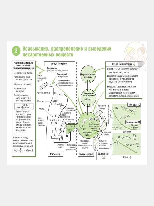 Фармакология в рисунках и схемах в 2-х томах, том 1-2