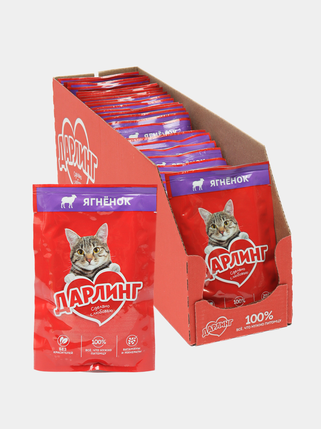 Uxlayotgan odamlarning katta mushuki