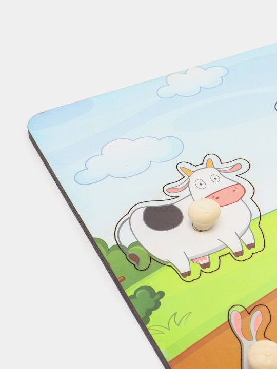 Развивающая игрушка в стиле Монтессори, вкладиш сортер