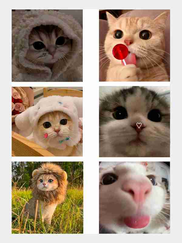 Jinsiy onalar Qattiq mushuk va katta Dik porno onlayn