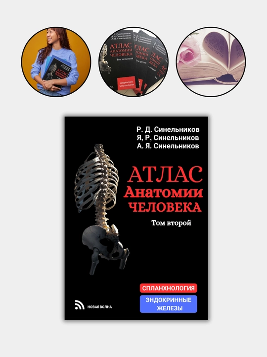 Медицинская книжка, "Атлас анатомии человека", Р.Д. Синельников, формат A4, 2018-2019 г - 