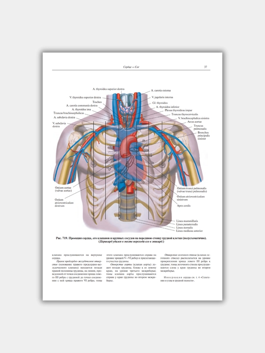 Tibbiyot kitobi, "Atlas anatomii cheloveka", R.D. Sinelnikov, A4 formatda, 2018-2019 yil