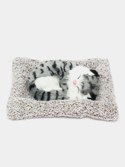 Сувенирная игрушка "Спящий котенок", для машины и дома — SHOPUZA-CAT-CЕРМЕЛ