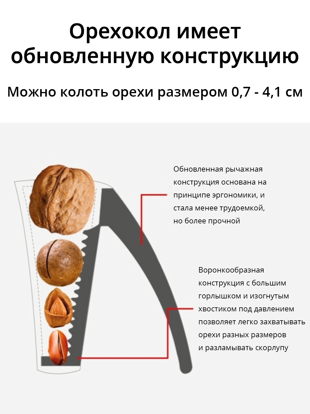 Орехокол универсальный для грецких орехов фундука и кедровых купить по  низким ценам в интернет-магазине Uzum (1014957)