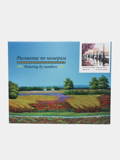 Картина по номерам RA75208 q0000010023 — MAPEDST-75166