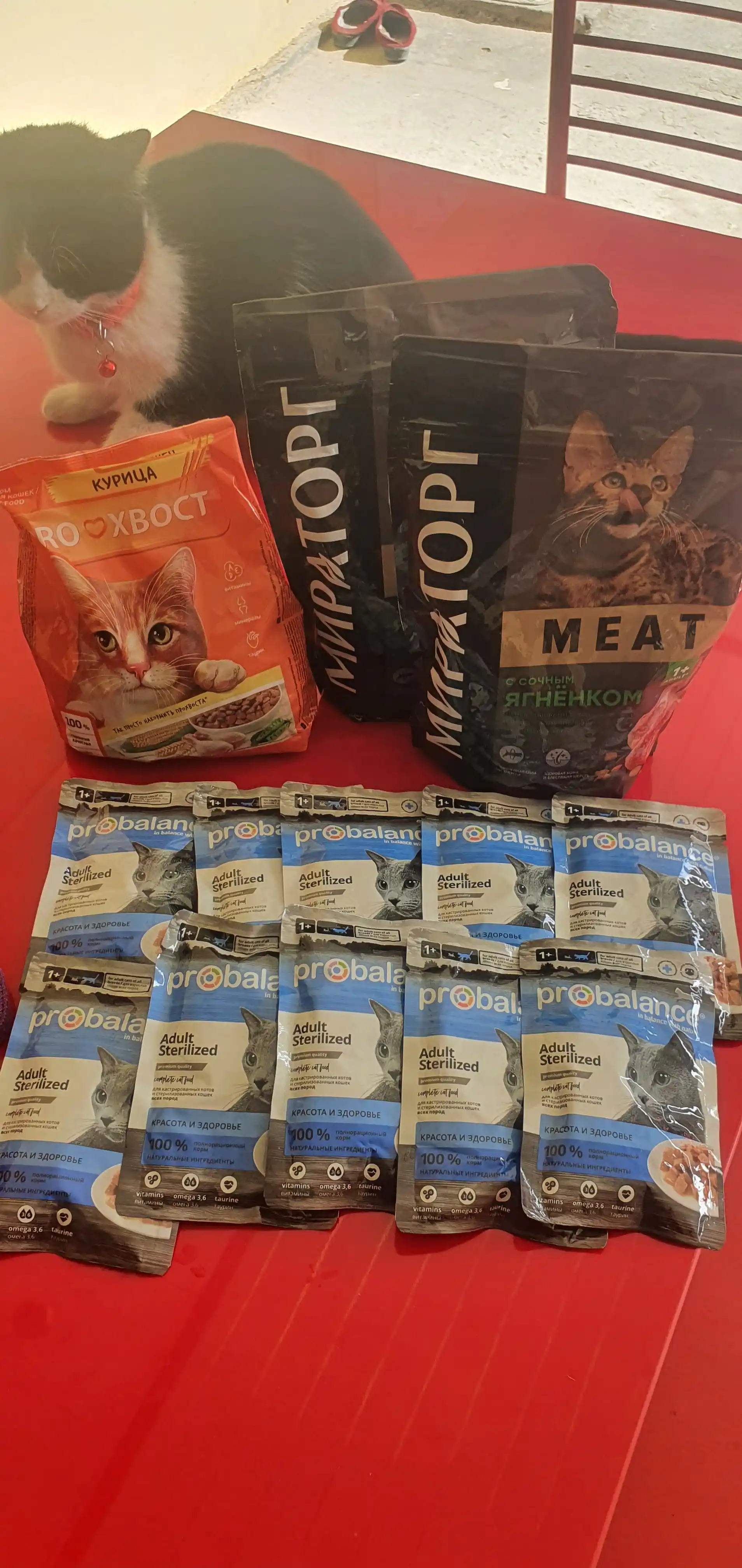 Miratorg Meat mushuklari uchun quruq yem, qo'zichoq bilan, 300 gr