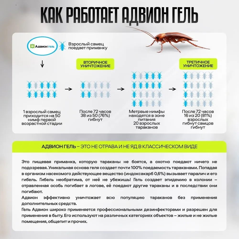 Шприц-гель от тараканов Advion Cockroach, Американский, полная  комплектация, 30 г. Адвион купить по низким ценам в интернет-магазине Uzum  (618561)