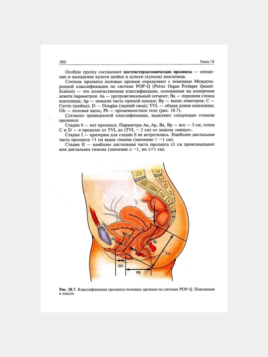 Гинекология: Учебник, 4-е издание, переработанное и дополненное