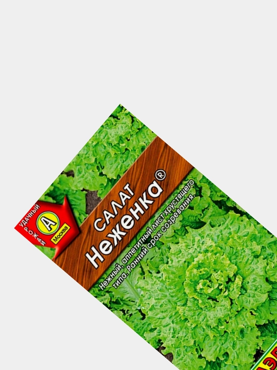 Семена зелени салата