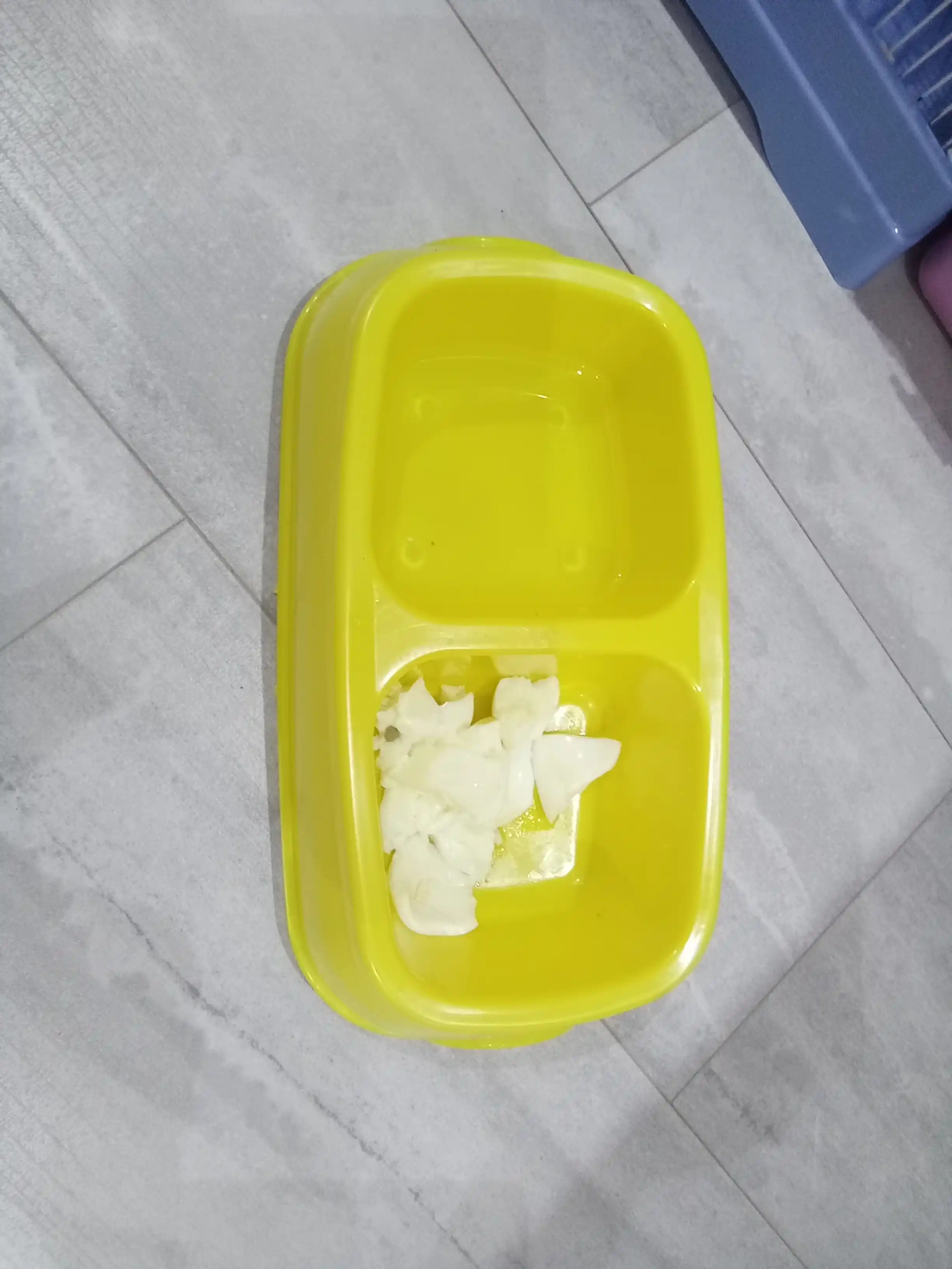 Mushuk va itlar uchun katta qo‘sh kosacha, 27 * 16.5 * 6.5 sm