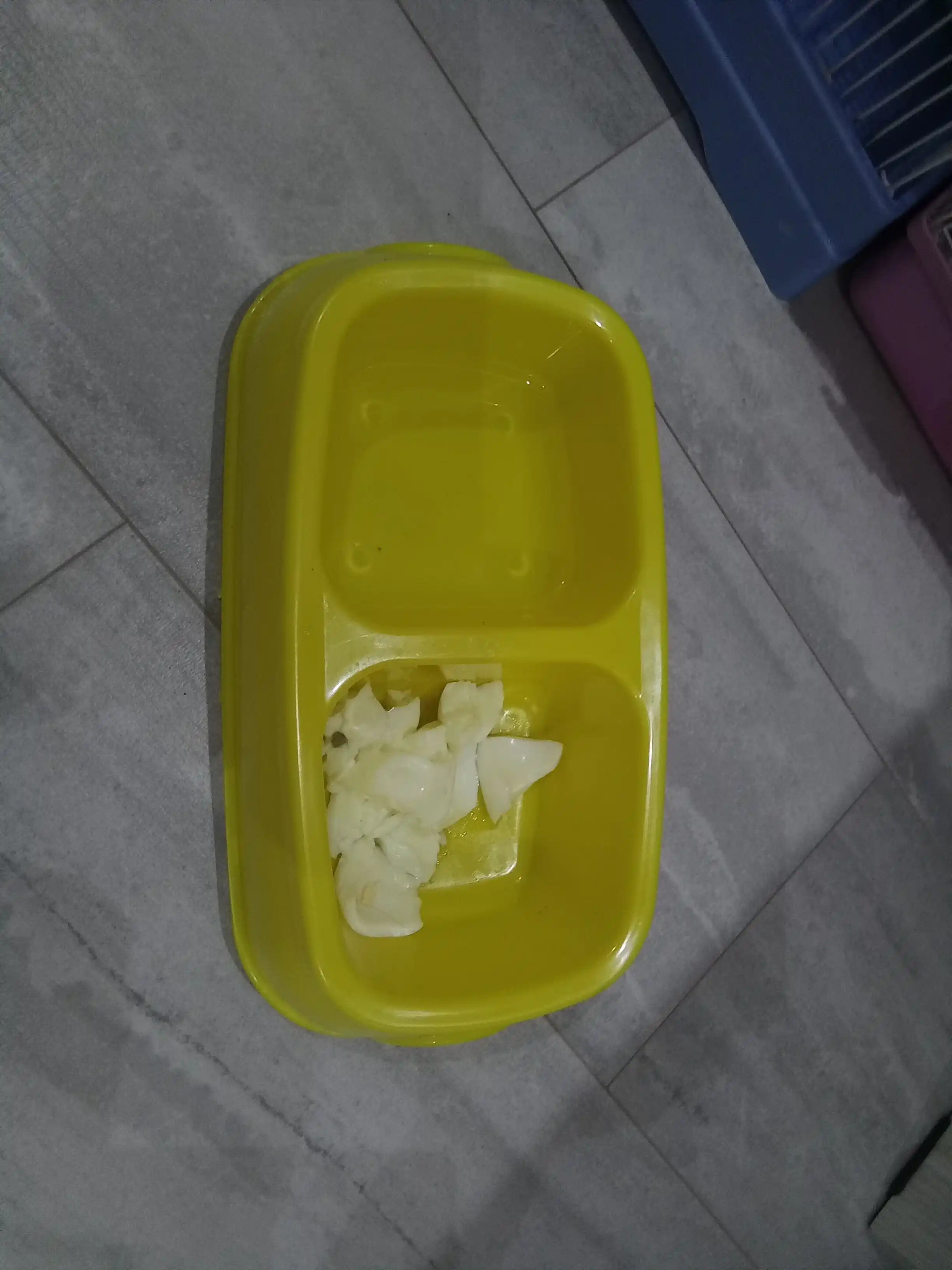 Mushuk va itlar uchun katta qo‘sh kosacha, 27 * 16.5 * 6.5 sm