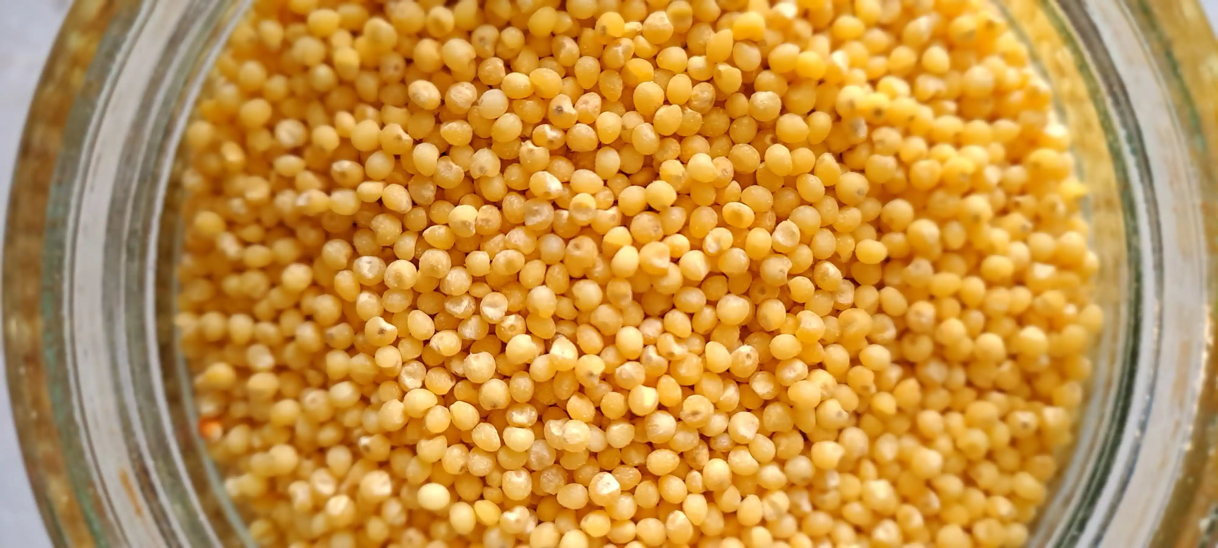Donli tariq tanlangan Passim, 800 g