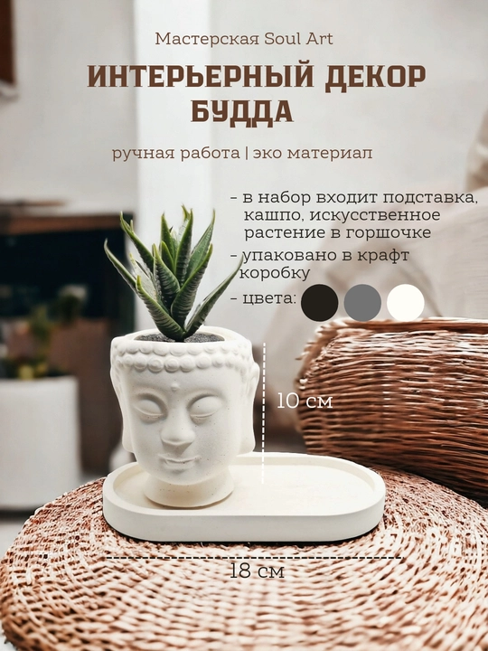 Kashpo "Budda boshi", podstavka va gul bilan to'plamda, va alohida