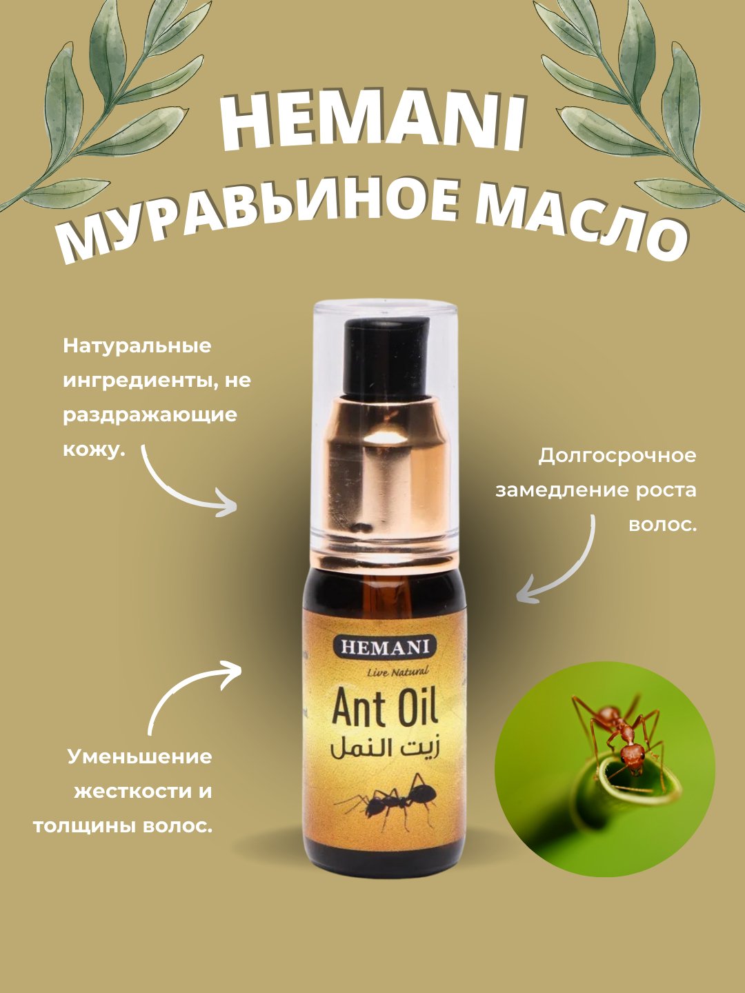 Муравьиное масло, Ant oil, Hemani, против роста волос, 30 мл купить по  низким ценам в интернет-магазине Uzum (932729)