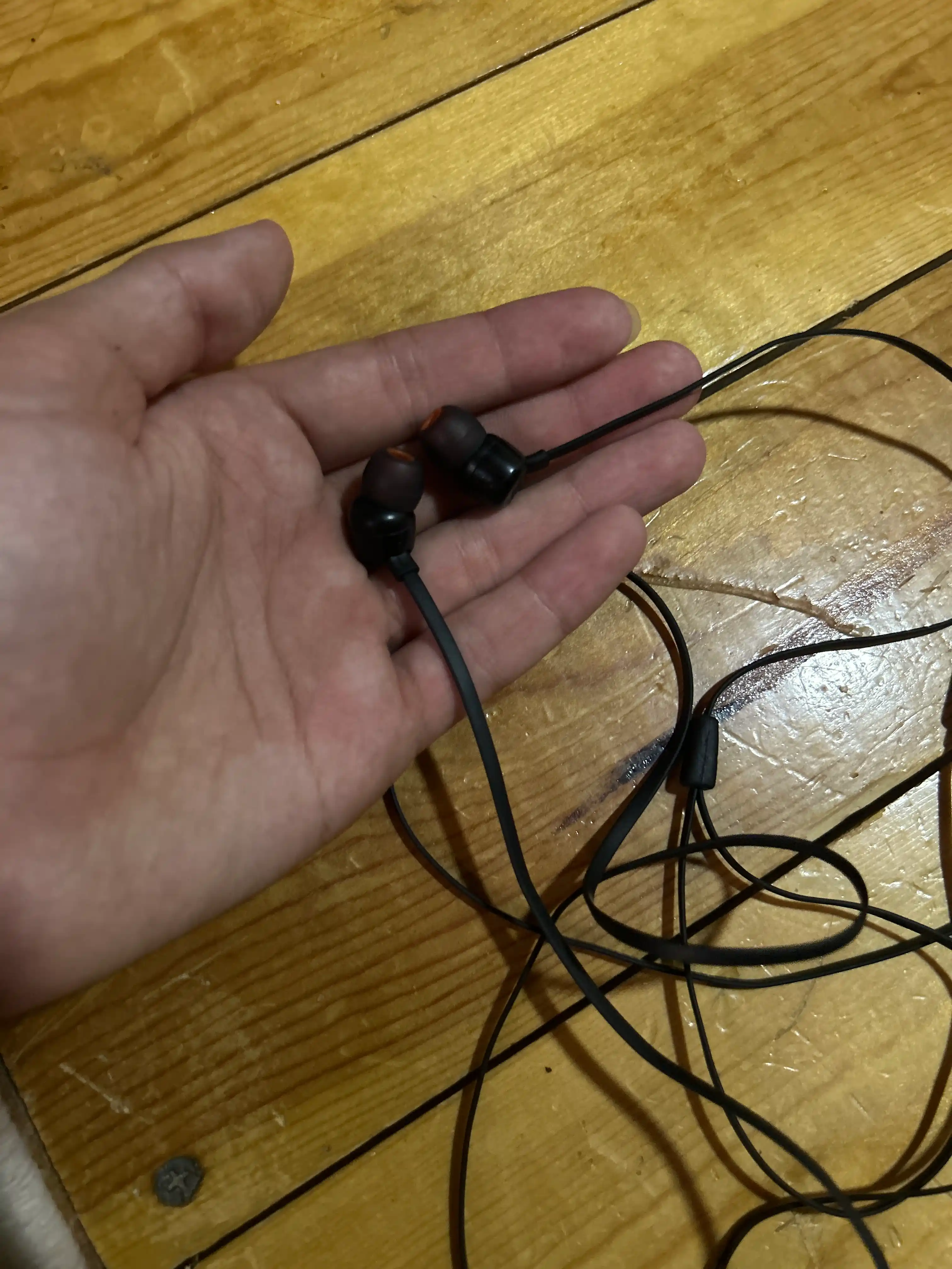 Simli quloqchinlar JBL Tune 110