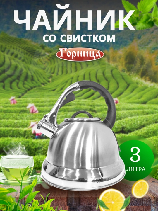 Чайник Горница из нержавеющей стали, со свистком, 3 литра