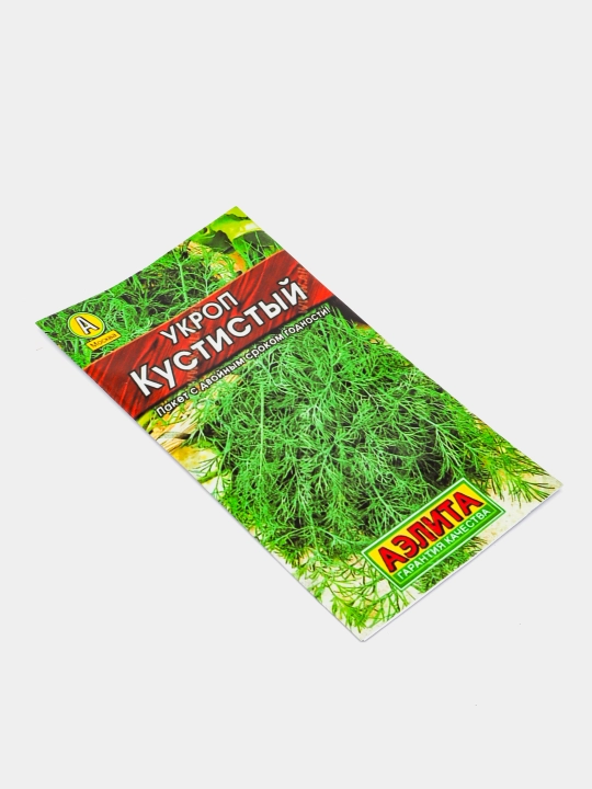 Yashil urug'lar. Ukrop . Ukrop  urug'lari. Ukrop urug'lari