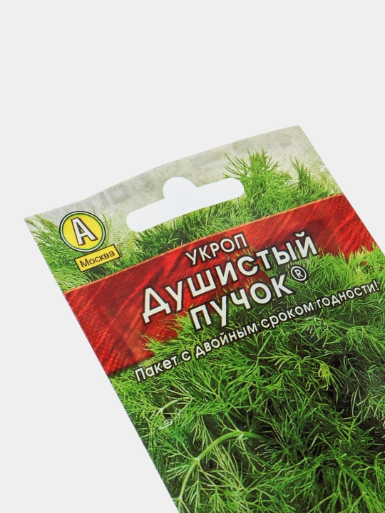 Семена зелени. Укроп. Семена укропа