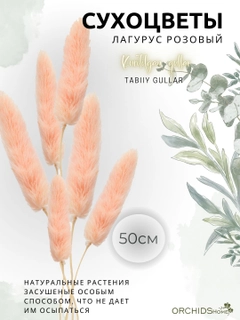 Конфетный