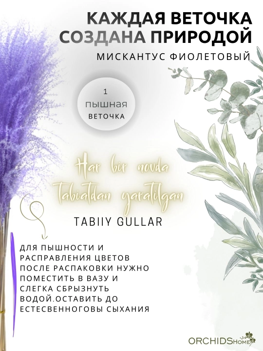 Декоративные цветы, сухоцветы для интерьера, декор для комнаты, букет 2-15 шт, 50 см