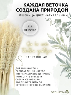 Бежевый