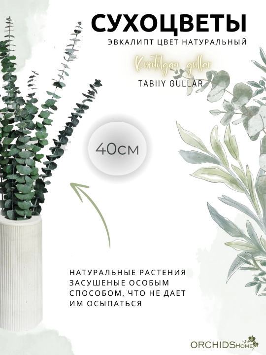 Dekorativ gullar, interyer uchun quritilgan gullar, xona dekoratsiyasi, guldasta 2-15 dona