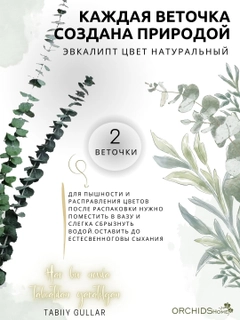 Бронзовый