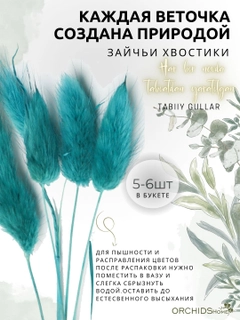Голубой