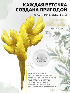 Желтый