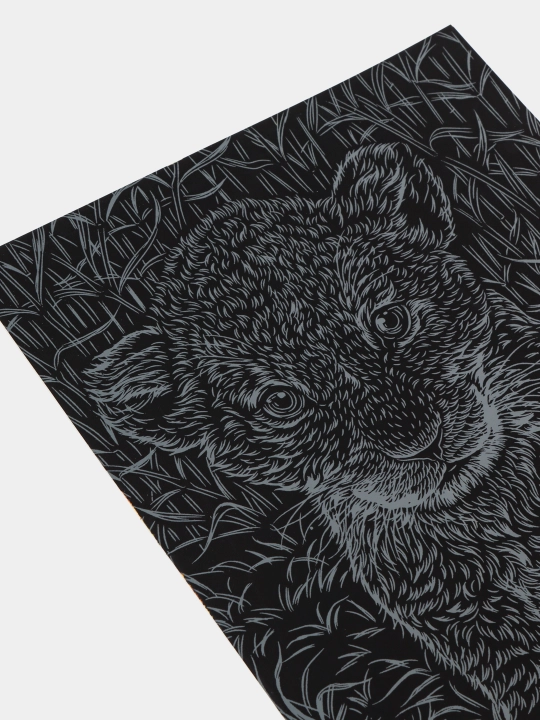 Skretching "Hayvonlar: sher bolasi", Gr-739, 18*24 sm, q0000039020