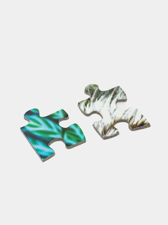 Mozaika puzzle 1000 "13 ta yo'lbarsni toping", Limited Edition, 79808 q0000019983