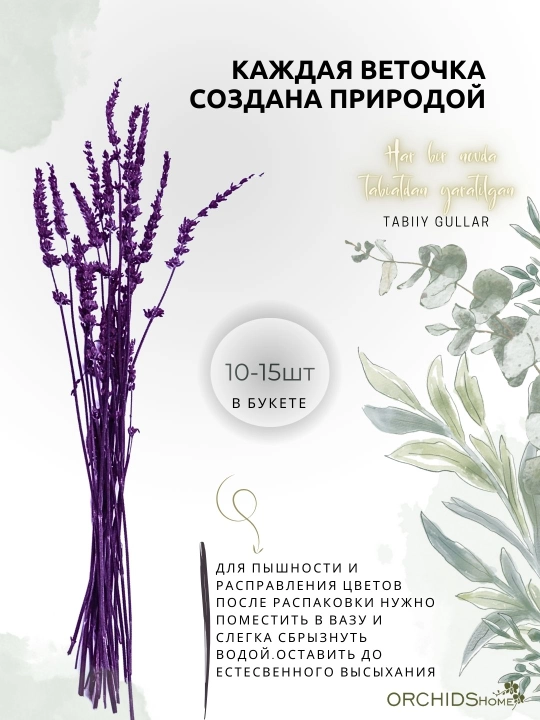 Декоративные цветы, cухоцветы "Лаванда", букет 12 - 15 шт, 60 см