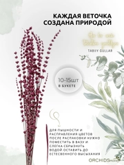 Бордовый