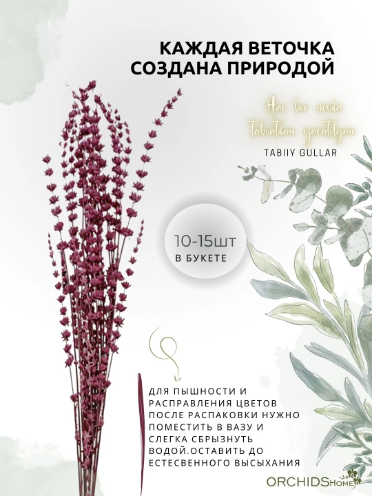 Декоративные цветы, cухоцветы "Лаванда", букет 12 - 15 шт, 60 см - 