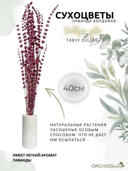 Декоративные цветы, cухоцветы "Лаванда", букет 12 - 15 шт, 60 см