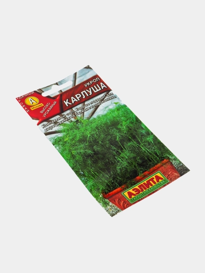 Семена зелени. Укроп. Семена укропа — МАГСАД-УКРОП1-ЗЕЛЕН