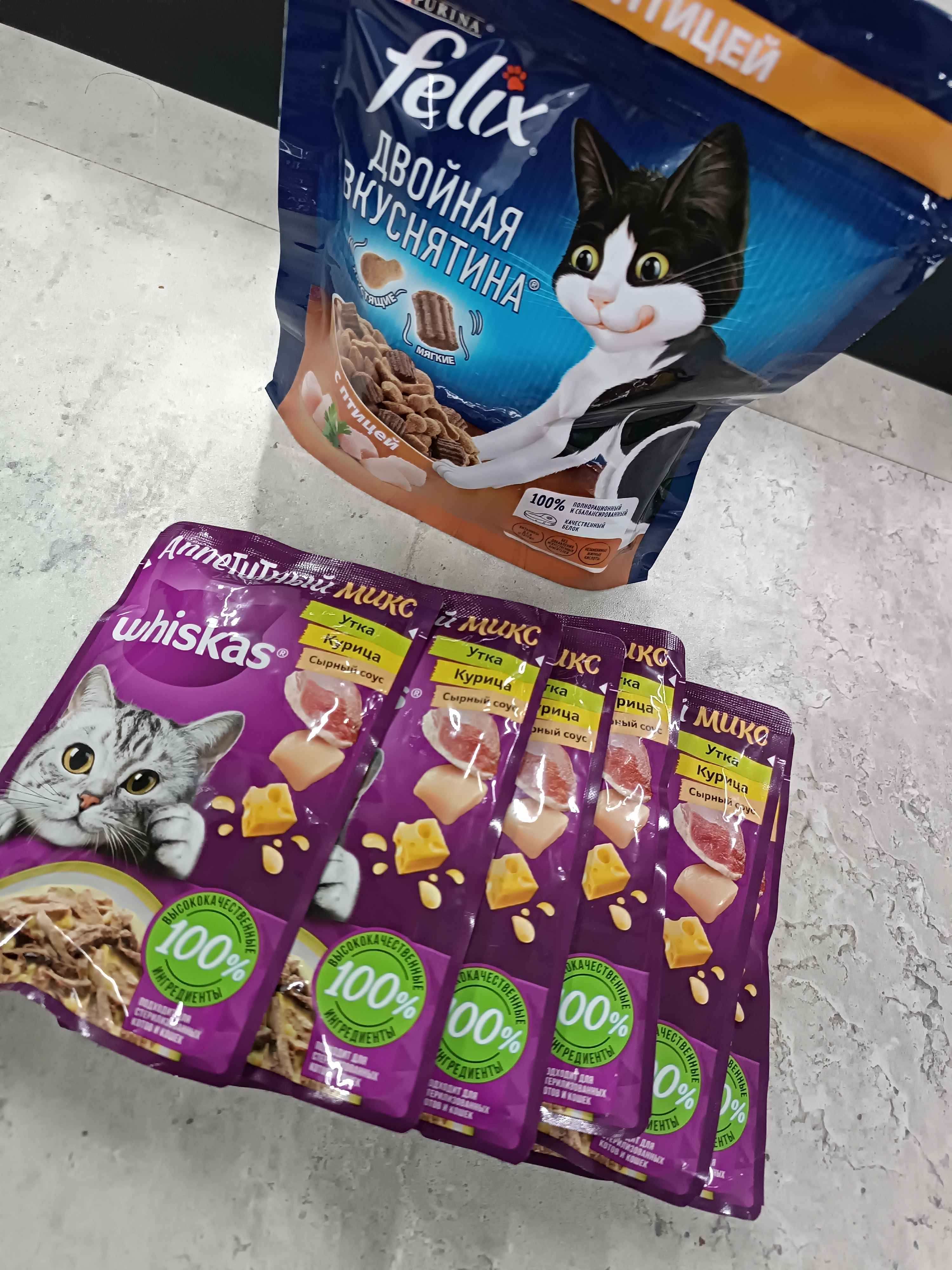 Mushuklar ovora Mushuklar ovora