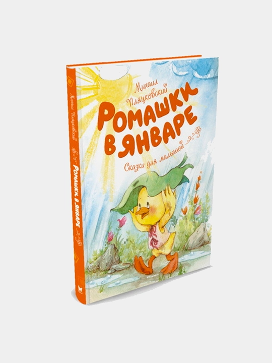 Romashki v yanvare, Plyaskovskiy Mixail - 