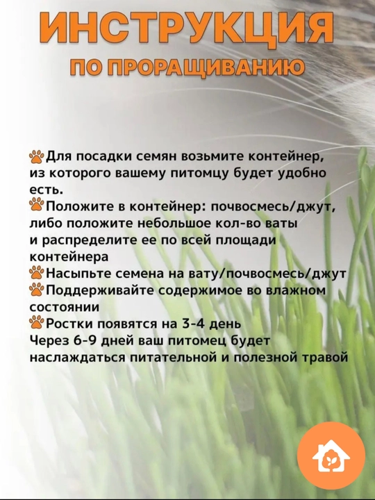Трава для кошек, попугаев, грызунов