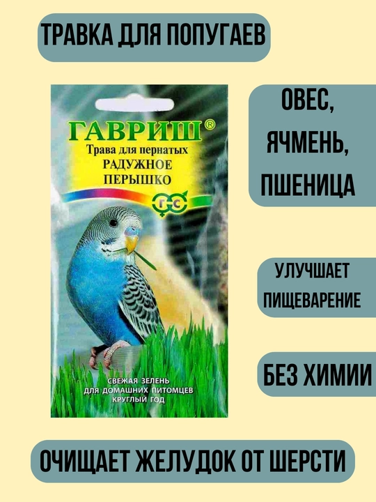 Трава для кошек, попугаев, грызунов