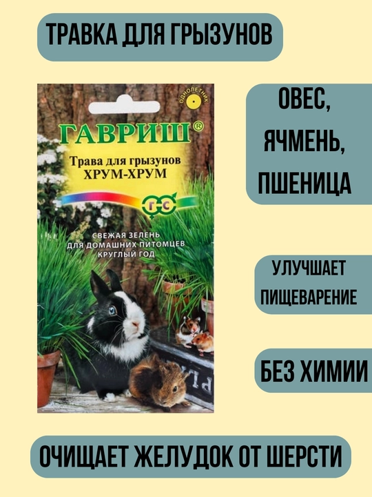 Трава для кошек, попугаев, грызунов