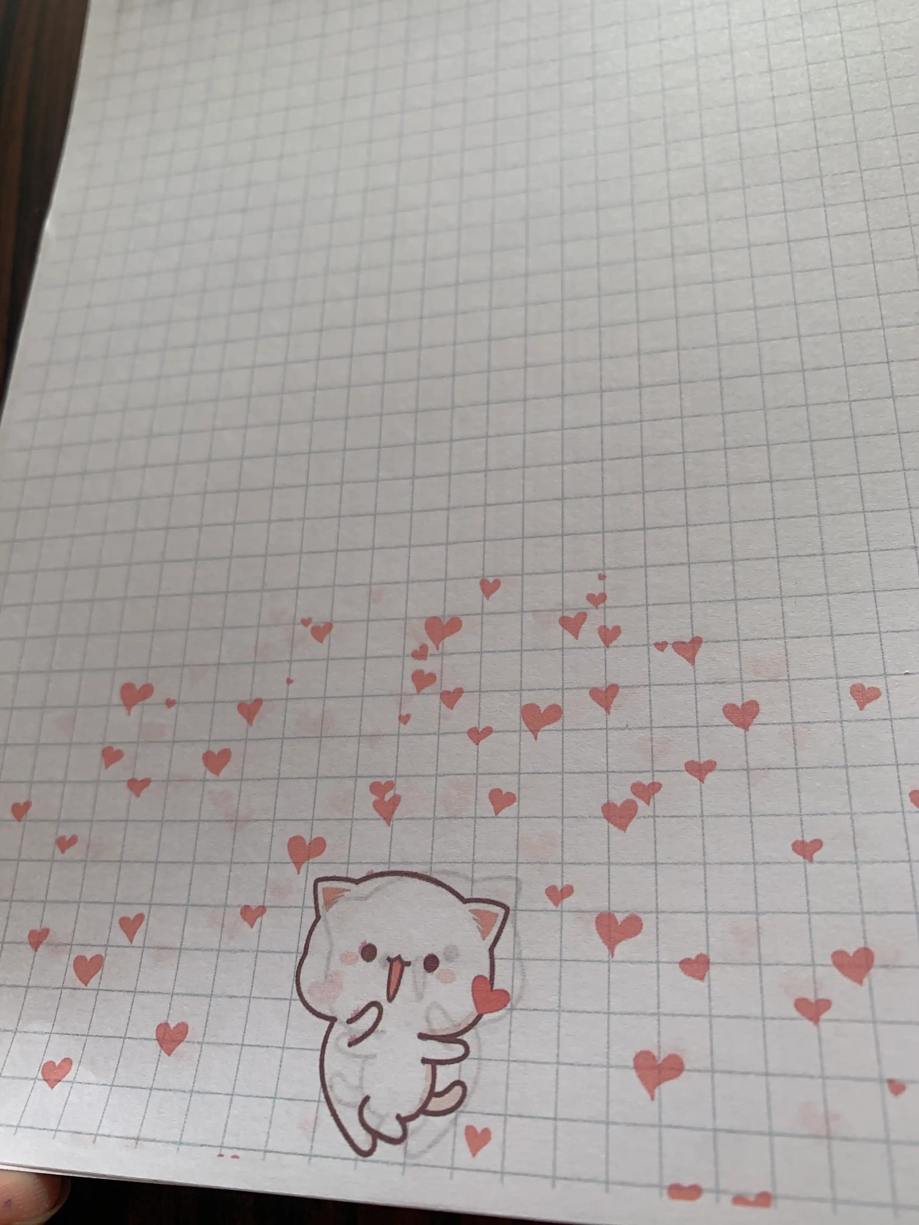 Блокнот с котиками