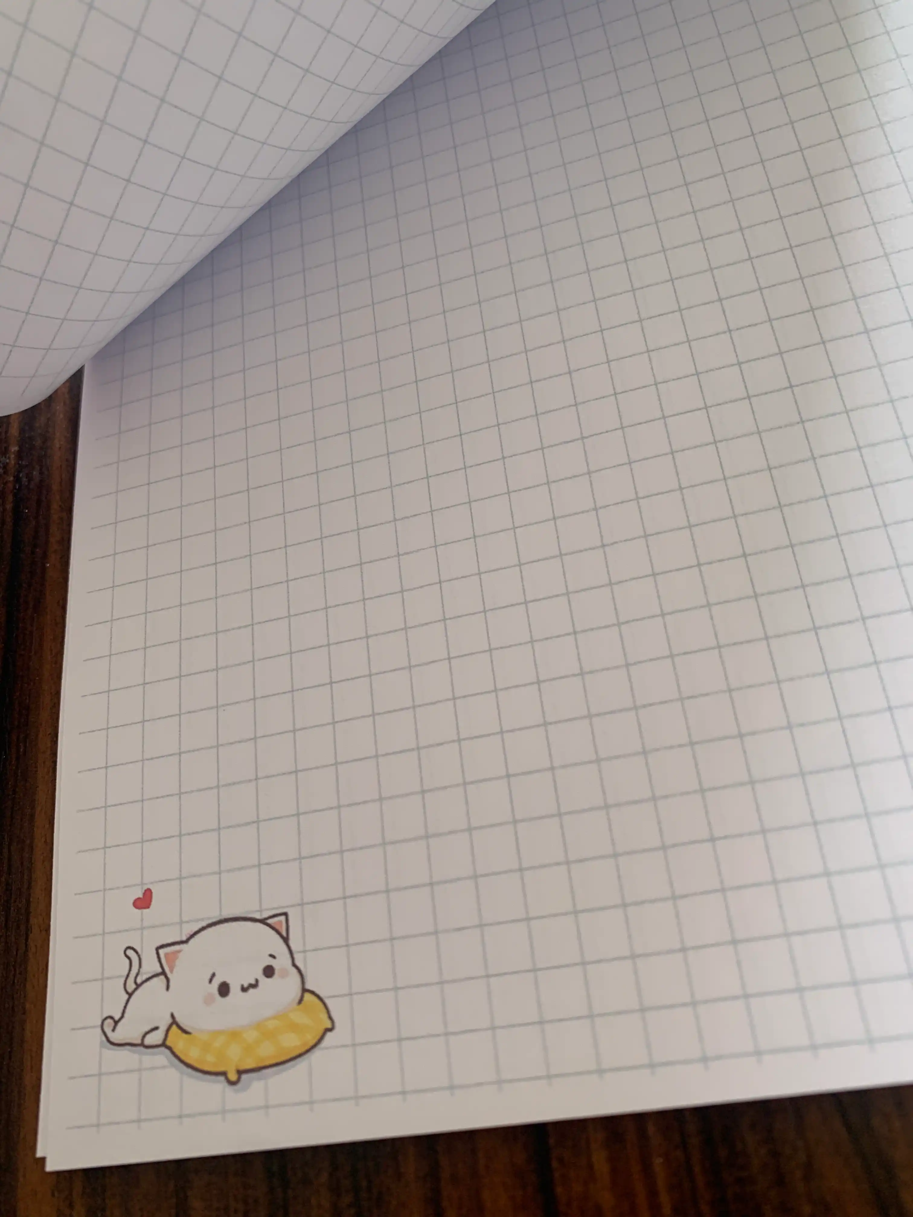 Блокнот с котиками