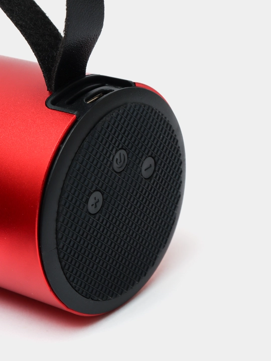 Колонка, считывает чипы, работает по Bluetooth, небольшой усилитель звука