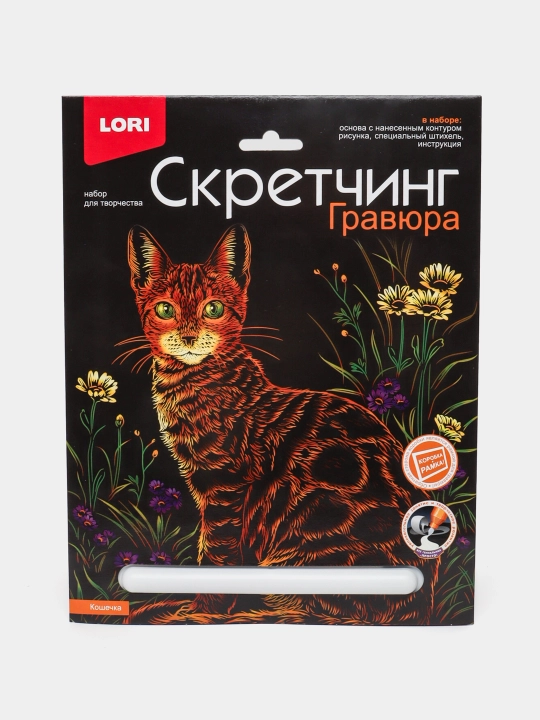 Scrеtching 18* 24 sm, Нayvonlar: Кlassik mushukha, Gr-743 q0000039023 - 