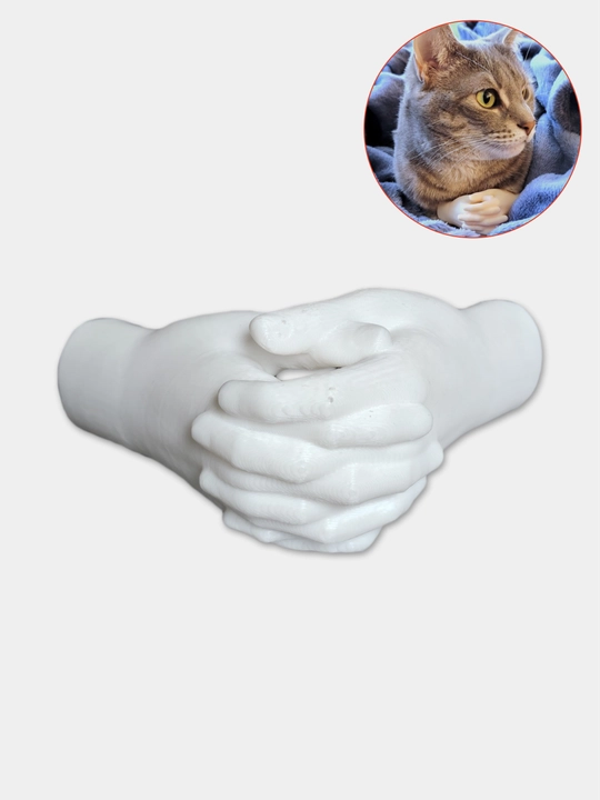 Милые руки для котика