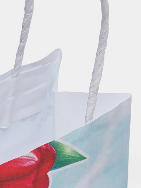Rasmlar bilan paketlar